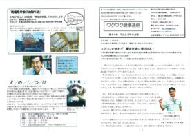 『ワクワク健康通信』ニュースレター81号(2011年8月号)
